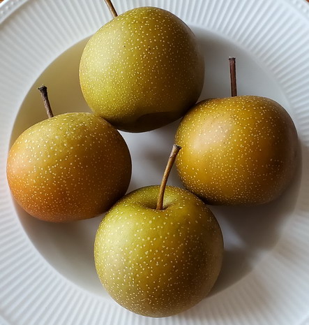 Asian Pears Just Picked